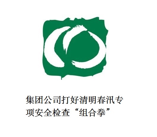 集團(tuán)公司打好清明春汛專項安全檢查“組合拳”
