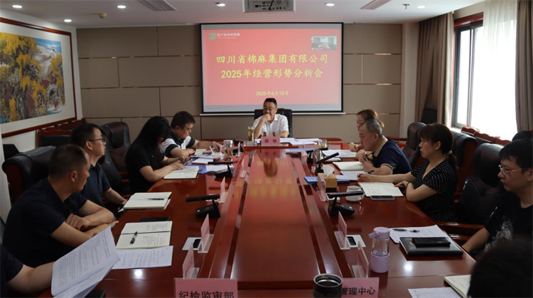 集團(tuán)公司召開2025年經(jīng)營(yíng)形勢(shì)分析會(huì)