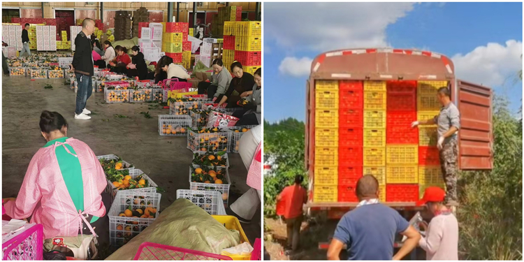 1699604034659203.jpg eceb41794683c4085f6ea1340606c1d.jpg